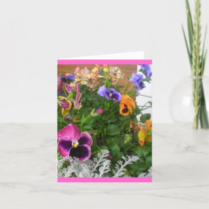 Carte Panneaux et instantanés