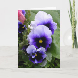 Carte Pansies violettes