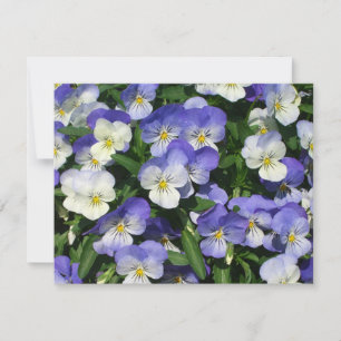 Carte Pansies violettes Jardin Floral