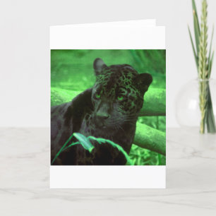 Carte Panthère noire Jaquar sur le vert