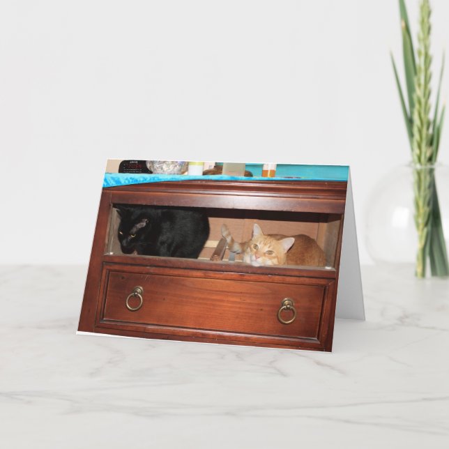 Carte Panty Raid (Devant)