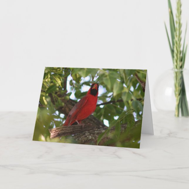 Carte Papa Redbird (Devant)