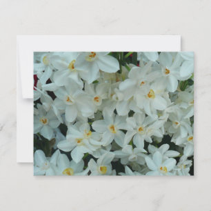 Carte Paperwhite Narcissus Fleurs blanches délicates