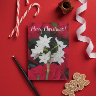 Carte Paperwhites et Poinsettias rouges Noël floral