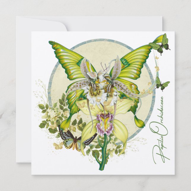 Carte Papilio Orchidaceae (Devant)