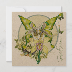 Carte Papilio Orchidaceae