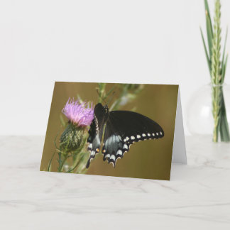 Carte Papillon