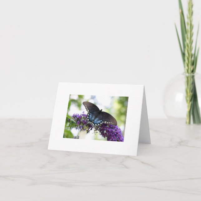 Carte Papillon (Devant)