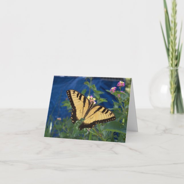 Carte Papillon à queue blanche jaune et noire sur un (Devant)