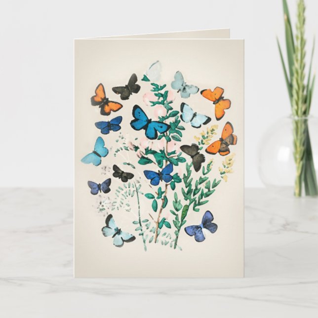Carte Papillon aquarelle vintage (Devant)