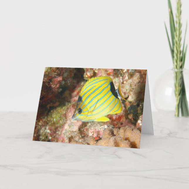 Carte Papillon bleu (Devant)