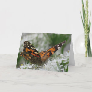 Carte Papillon de la Dame peinte