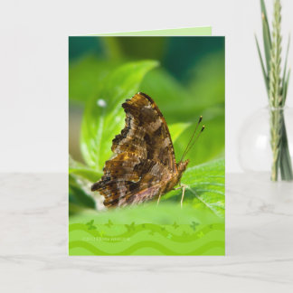 Carte Papillon de virgule