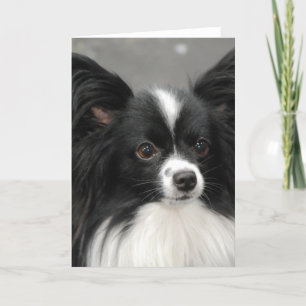 Carte Papillon Dog Note Card