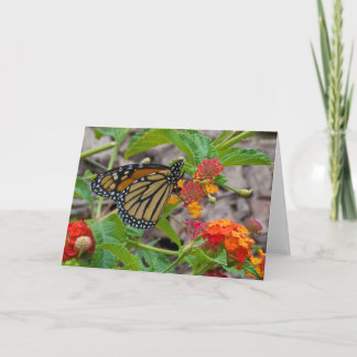 Carte Papillon et Lantana