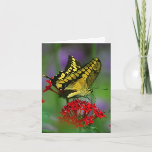 Carte Papillon floral (Devant)