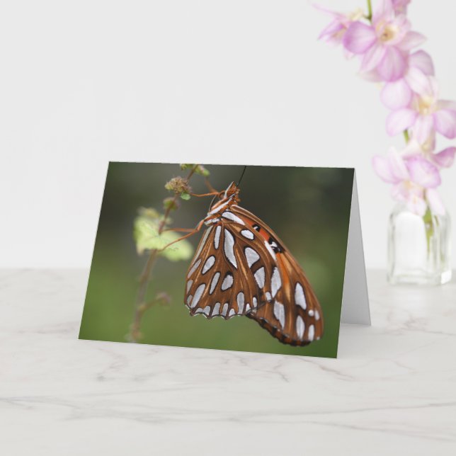 Carte Papillon Golfe Fritillaire Passion Orange tacheté (Orchidée)