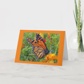 Carte Papillon monarque