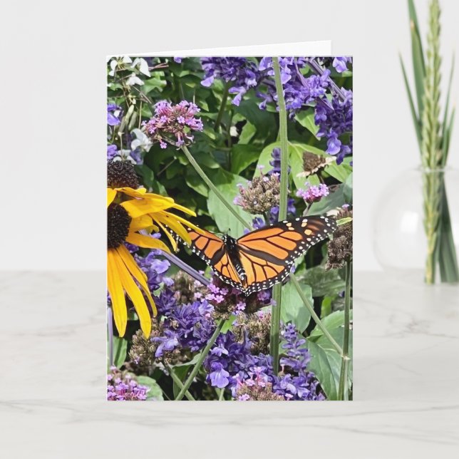 Carte Papillon Monarque (Devant)