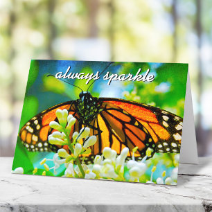 Carte Papillon Monarque orange Photo toujours étincelant