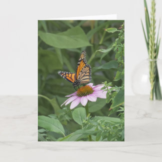 Carte Papillon monarque sur une échynacée pourpre, NYC -