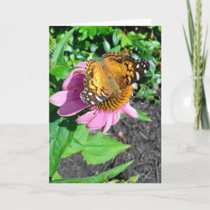 Carte Papillon monarque sur une fleur d'échinacée