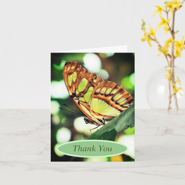 Carte Papillon observer la nature Merci personnalisé (Fleur jaune)