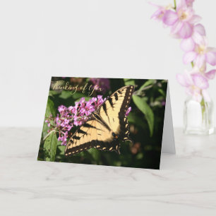 Carte Papillon Queue-noire
