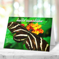 Papillon rayé noir et blanc Script Hello Sunshine