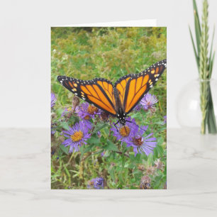 Carte Papillon sur Cornflowers Blank