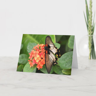 Carte Papillon sur la fleur