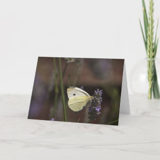Carte Papillon sur Lavender