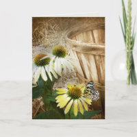 Papillon sur une fleur de cône