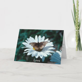 Carte Papillon sur une marguerite
