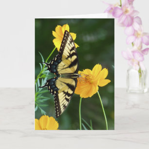 Carte Papillon Swallowtail sur Fleur Cosmos Jaune