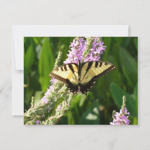 Carte Papillon Swallowtail sur Fleurs sauvages pourpres