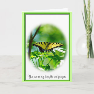 Carte Papillon Sympathie