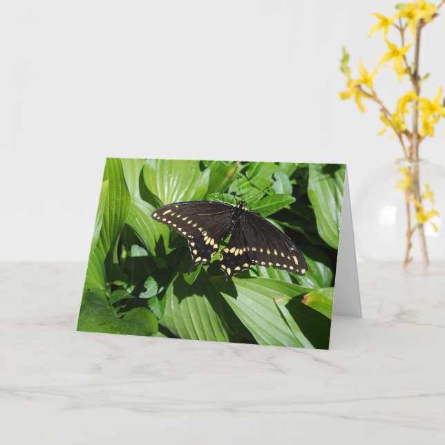 Carte Papillon tacheté noir noir noir (Fleur jaune)