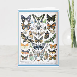 Carte Papillon vintage Illustration Art