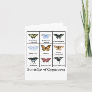 Carte Papillons de Chautauqua