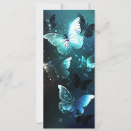 Carte Papillons de nuit