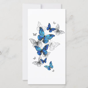 Carte Papillons volants bleus Morpho