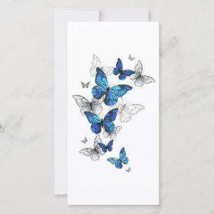 Carte Papillons volants bleus Morpho