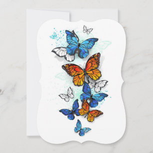 Carte Papillons volants Morpho et Monarch