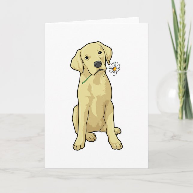 Carte Pâquerette du Labrador (Devant)