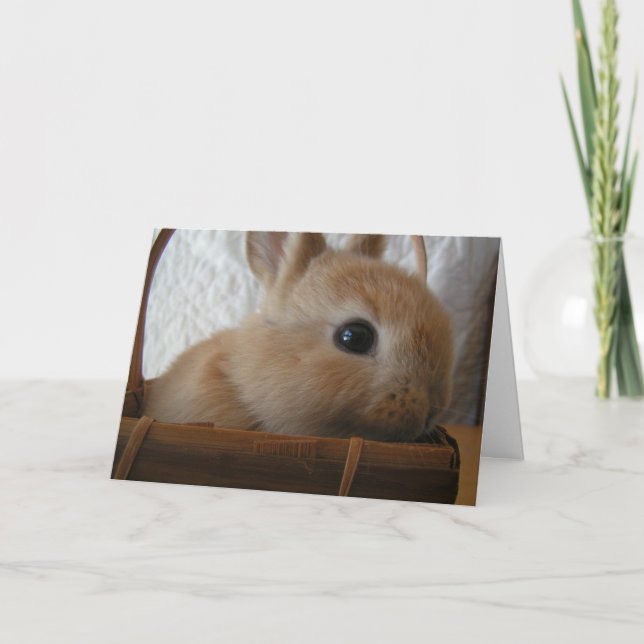 Carte Pâques Bunny (Devant)