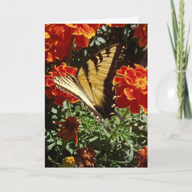 Carte Pâques "Papillon jaune" (Devant)