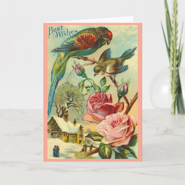 Carte Parakeet Rose vintage (Devant)