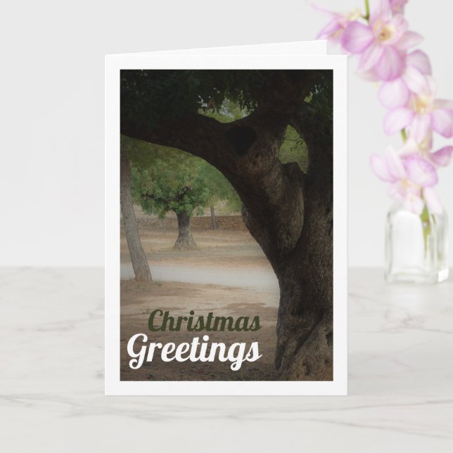 Carte Parc San Vicente Lliria, Valencia (Orchidée)