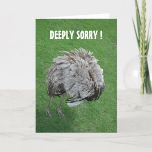 Carte Pardonne-moi !